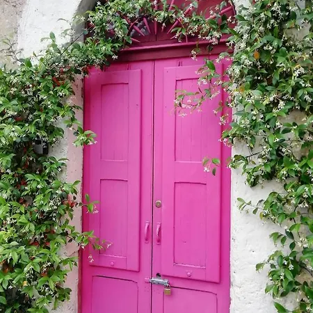 Bed & Breakfast D'artista *